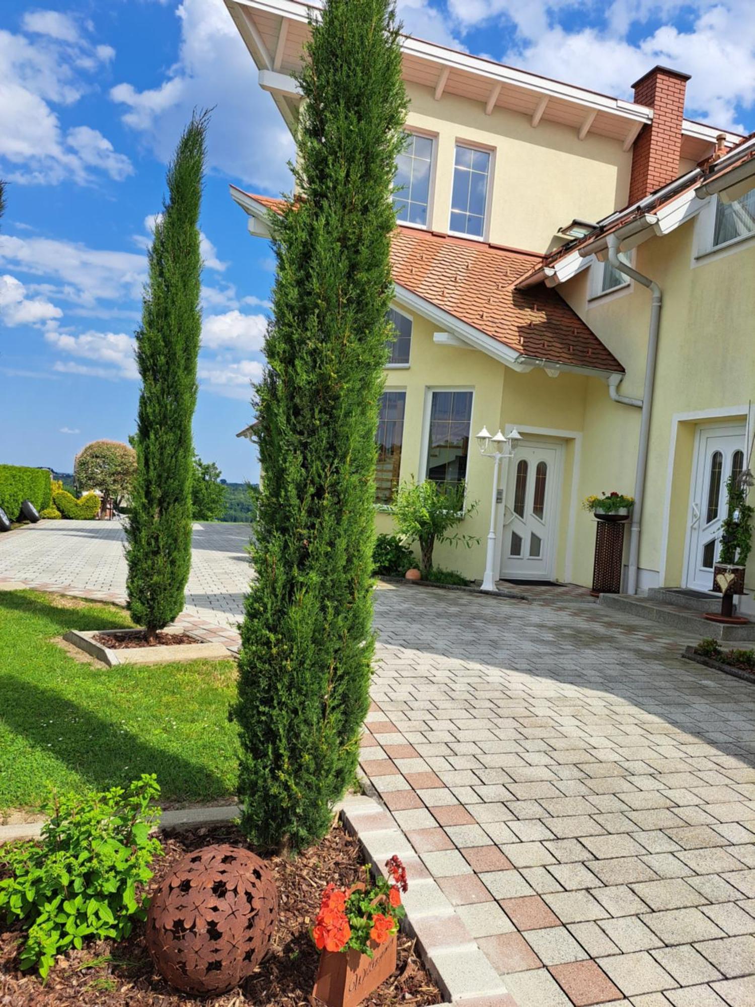 Appartement Schober Kukmirn Dış mekan fotoğraf